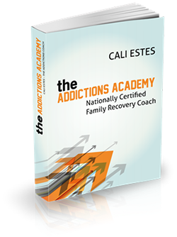 The Addictions Academy - Family Recovery Coach