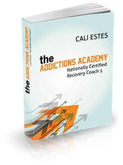The Addictions Academy - Recovery Coaching Level 1